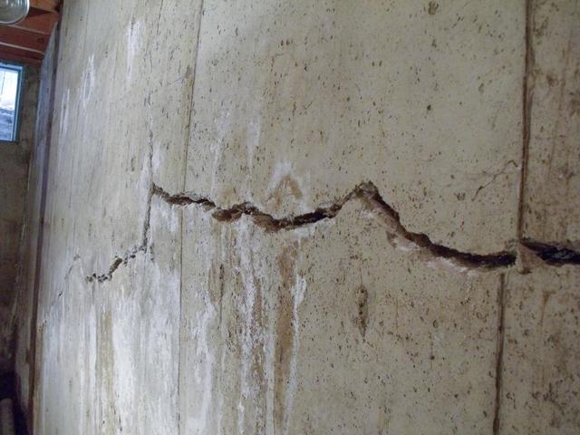 Curated visual reference: Picture Idea: 3 Ways Trees And Plants Cause Basement Wall Cracks And